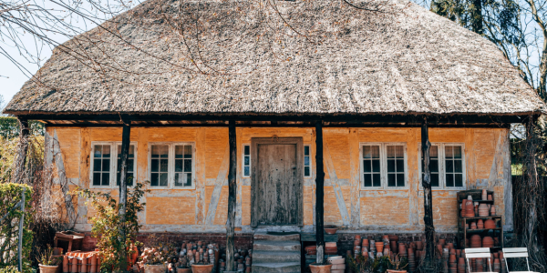Nest Thatched House Header